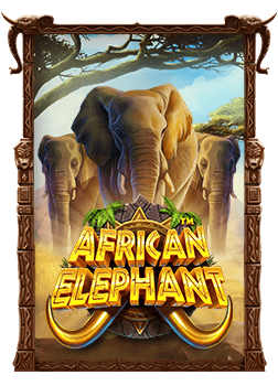 โบนัส บาคาร่า คืออะไร? ทำความรู้จักกับโอกาสชนะ